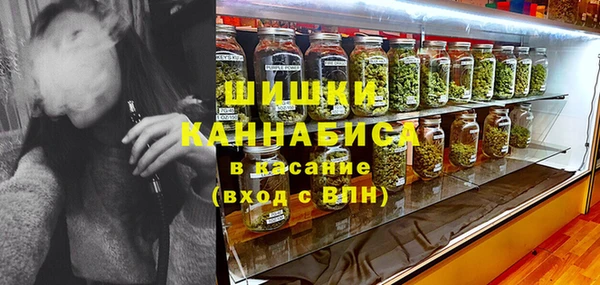 ПСИЛОЦИБИНОВЫЕ ГРИБЫ Пестово