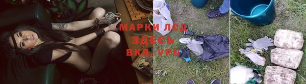 spice Пересвет
