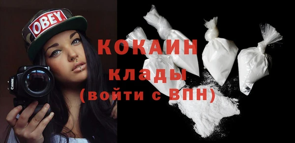молекула духа Покачи