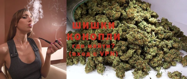 крисы Переславль-Залесский