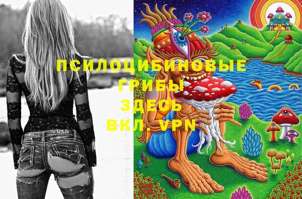 Альфа ПВП Покровск