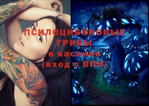 крисы Переславль-Залесский