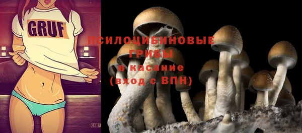 крисы Переславль-Залесский