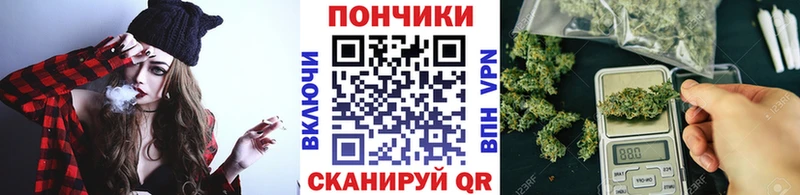 цены наркотик  Сковородино  Бошки марихуана сатива 
